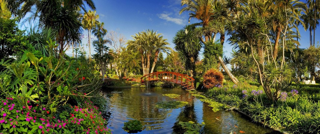 Jardin de Aclimatacion de la Orotava - Ботанический сад на острове Тенерифе